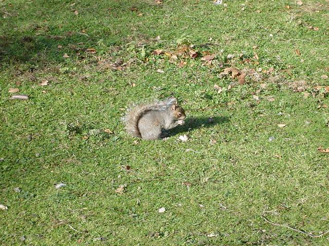 Bild 96