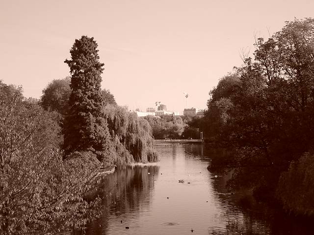 Bild 96