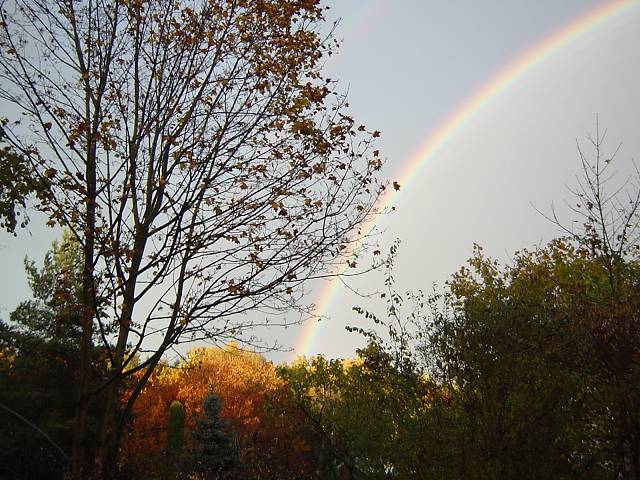Bild 96