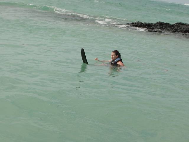 Bild 96