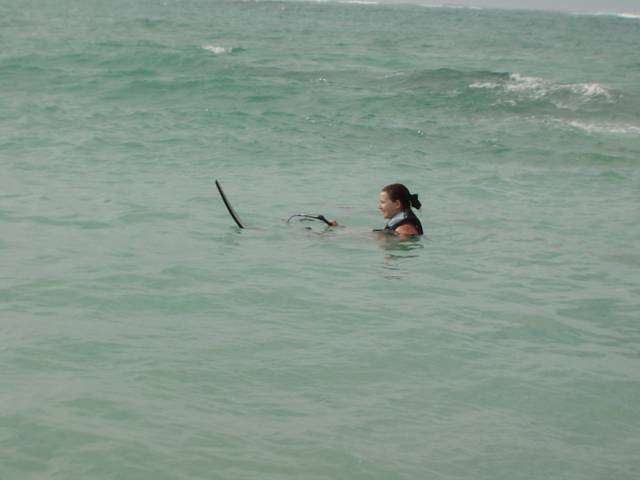 Bild 96