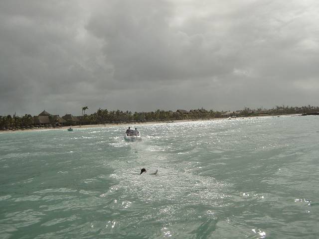 Bild 96