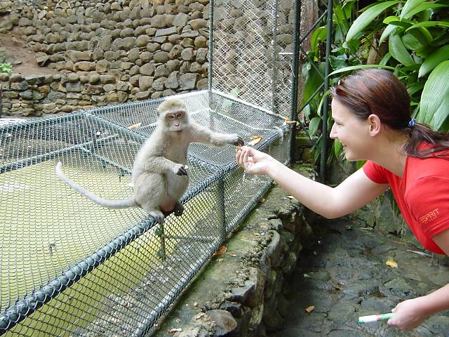 Bild 96