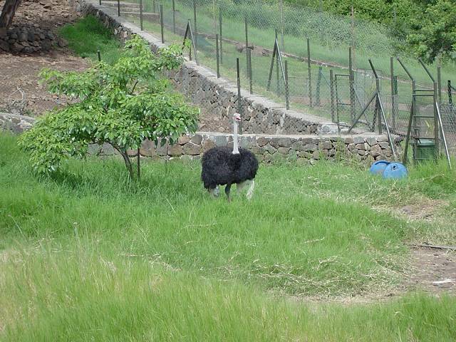 Bild 96