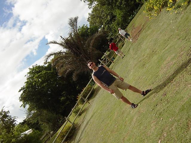 Bild 96