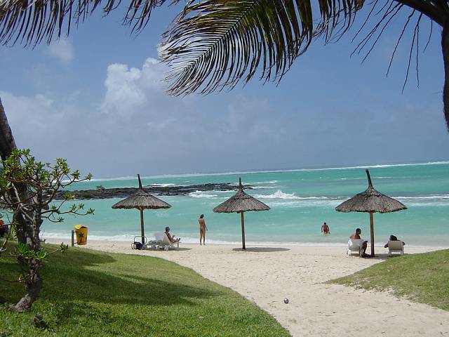 Bild 96