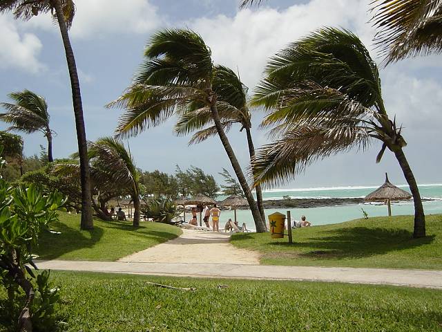 Bild 96