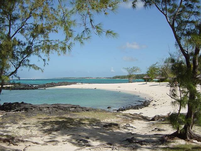 Bild 96