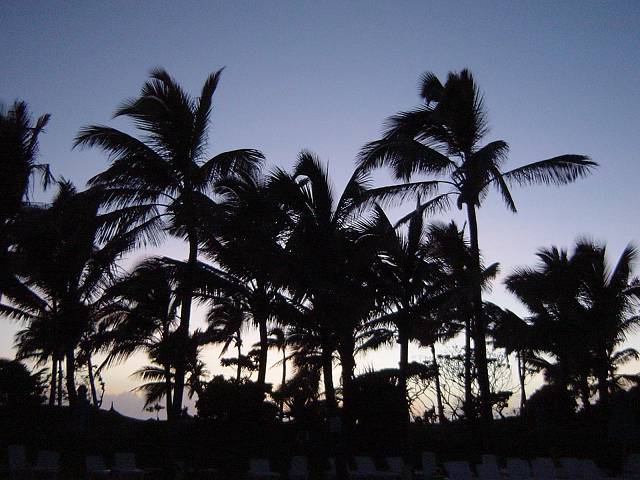 Bild 96
