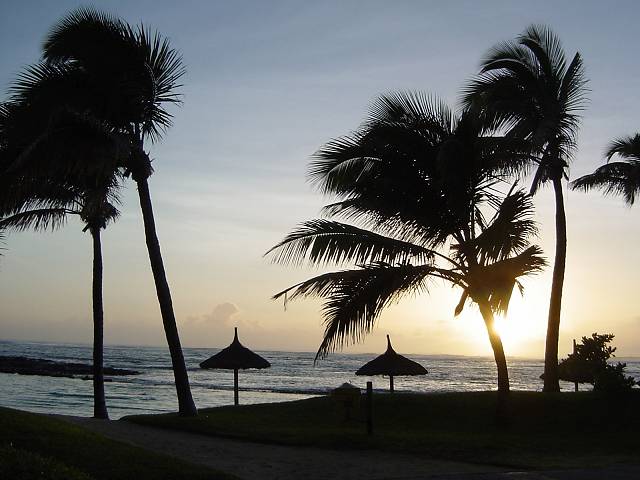 Bild 96