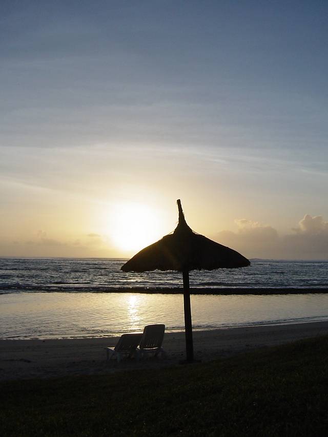 Bild 96
