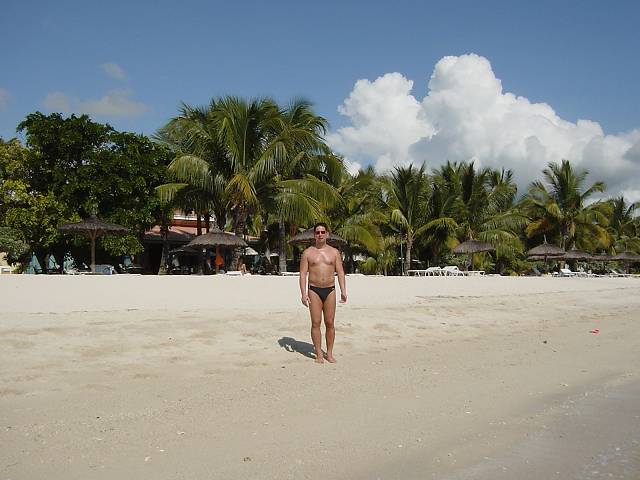 Bild 96