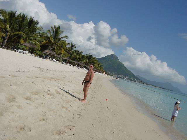 Bild 96