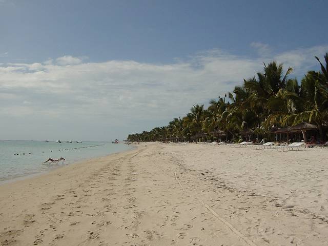 Bild 96