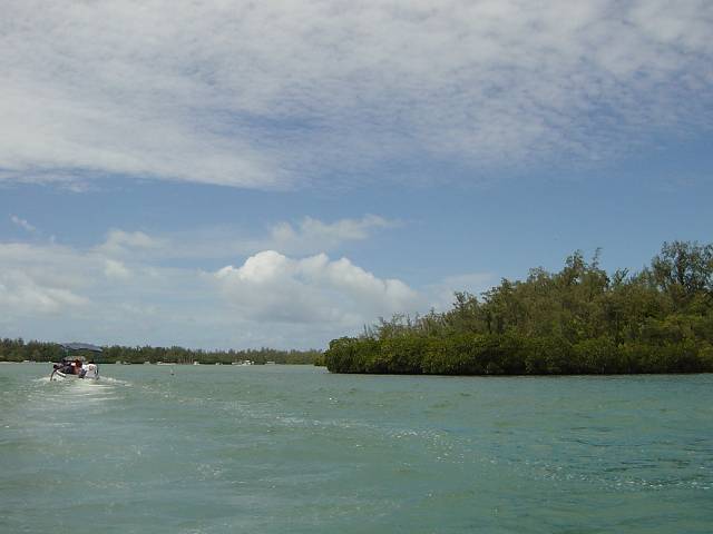Bild 96