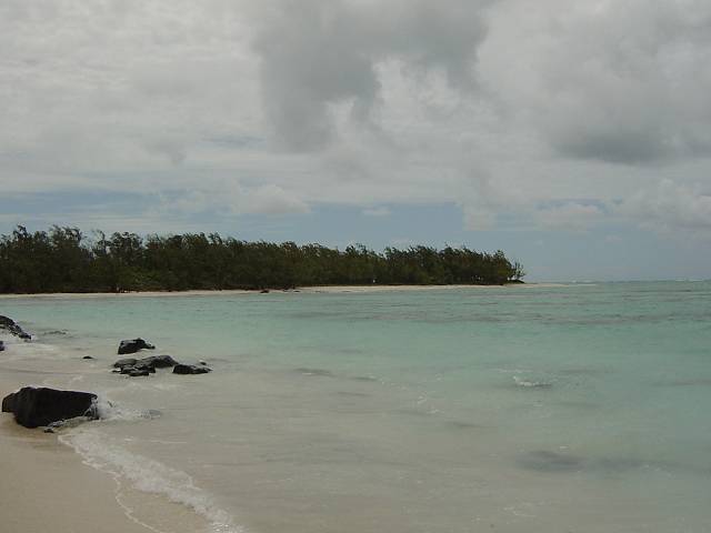 Bild 96