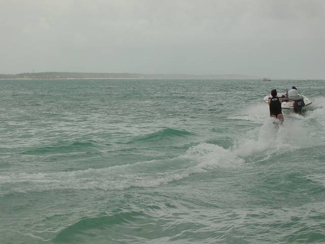 Bild 96