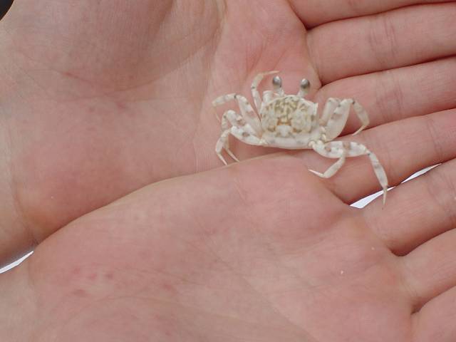 Bild 96
