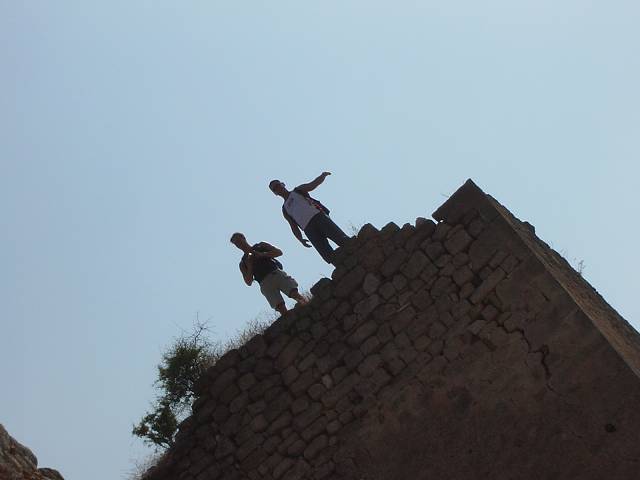 Bild 216