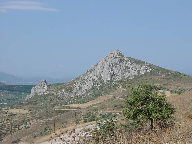Bild 216