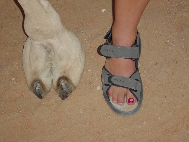 Bild 168