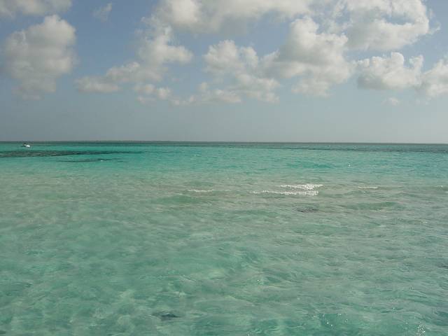 Bild 264