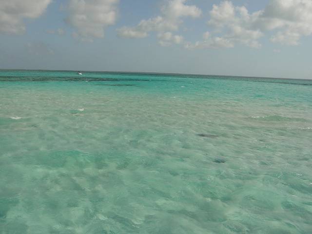 Bild 264