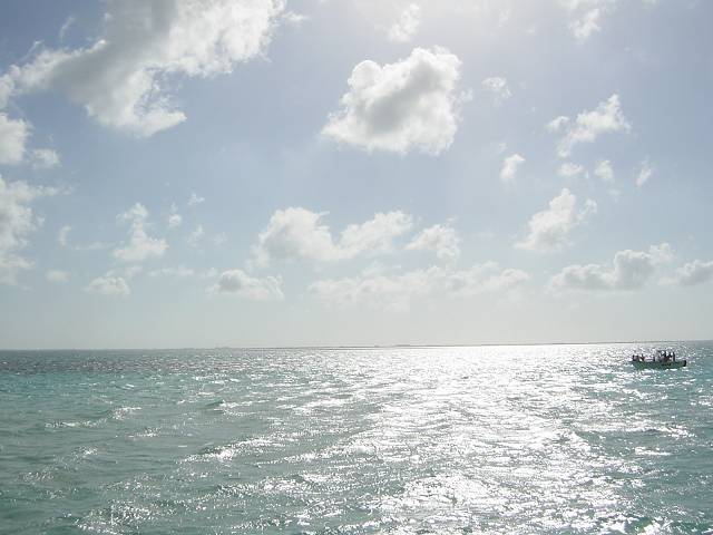 Bild 264