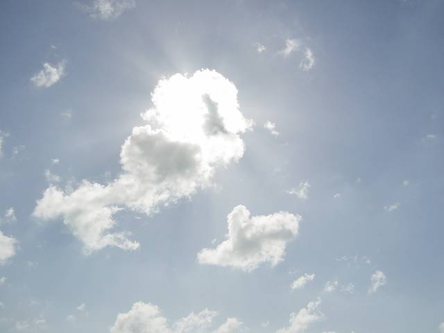 Bild 264