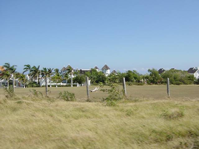 Bild 264