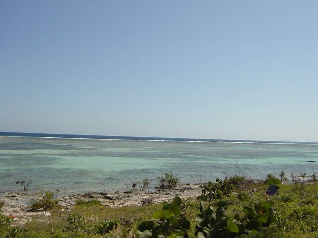 Bild 264