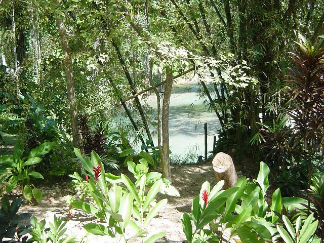 Bild 264