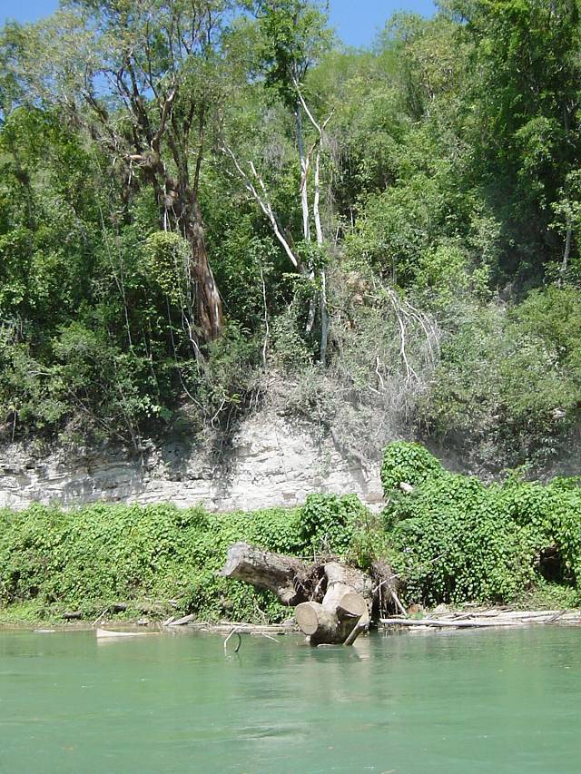 Bild 264