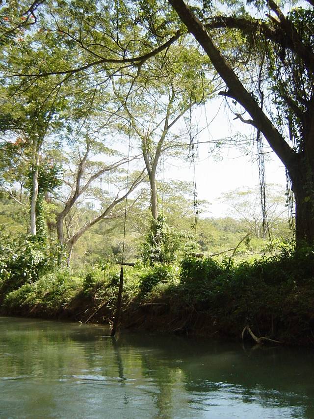 Bild 264