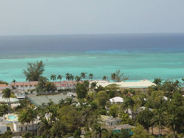 Bild 264