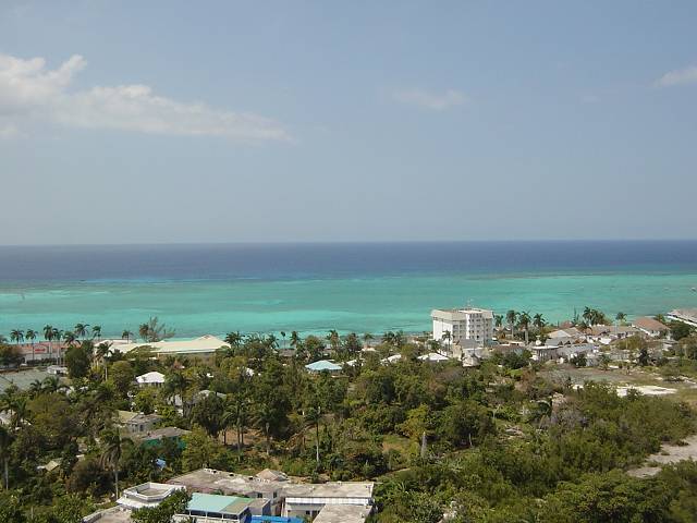 Bild 264