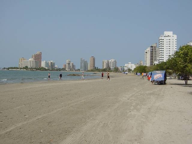Bild 264