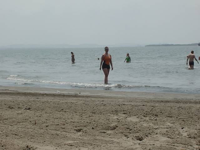 Bild 264