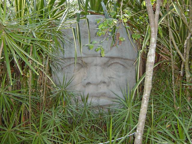 Bild 264