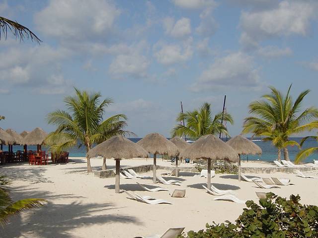 Bild 264