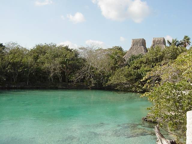 Bild 264