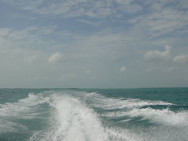 Bild 264