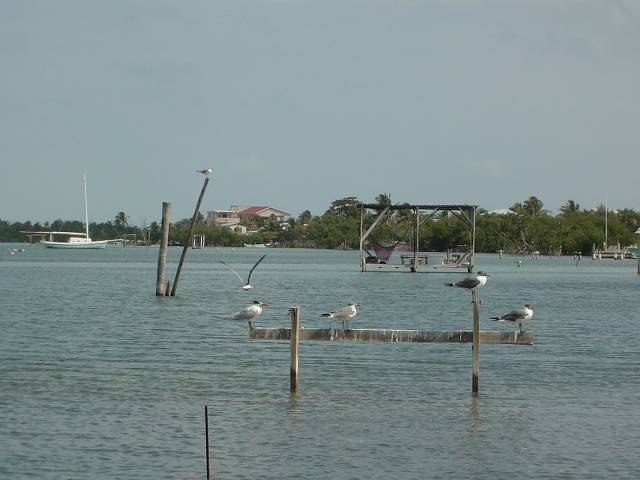 Bild 264