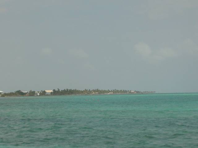 Bild 264