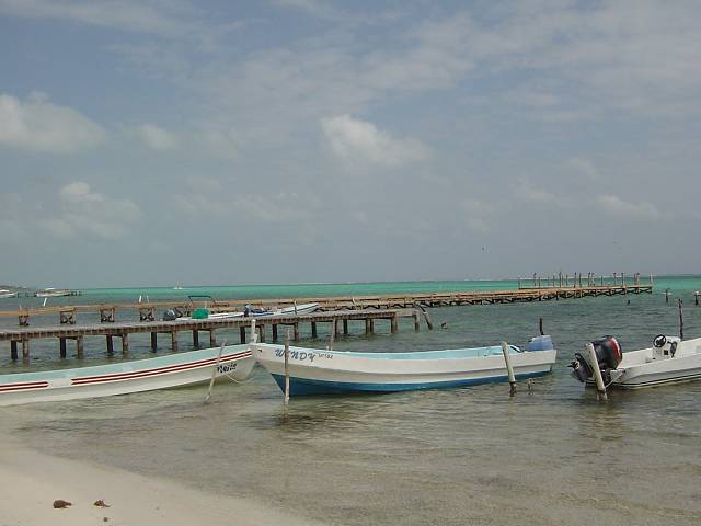 Bild 264