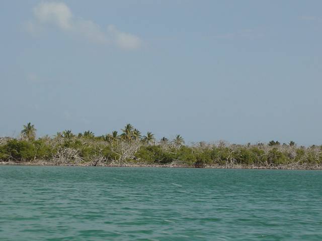 Bild 264