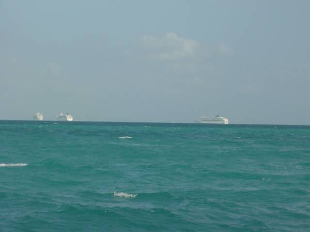 Bild 264