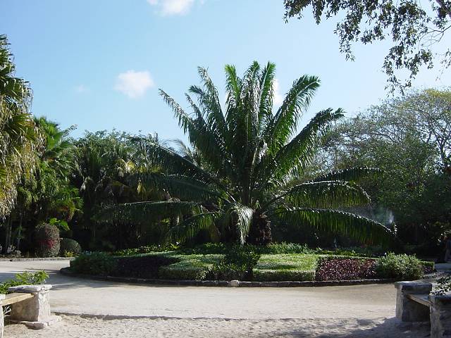 Bild 264