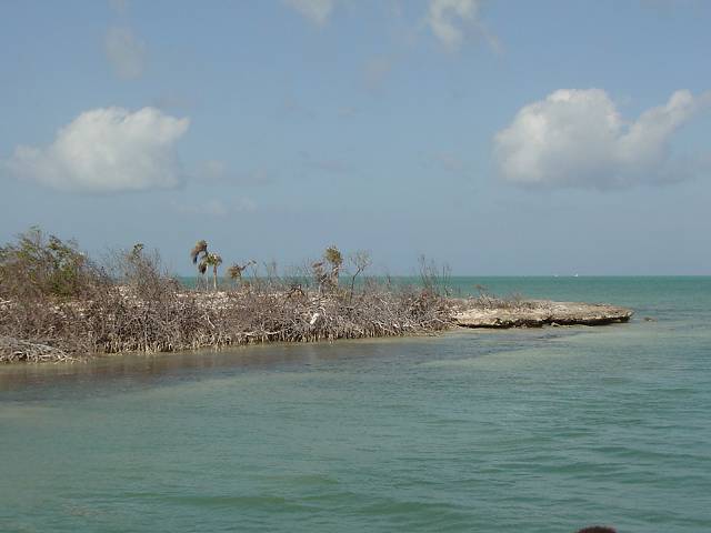 Bild 264