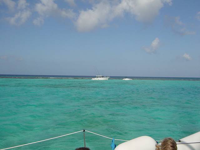 Bild 264